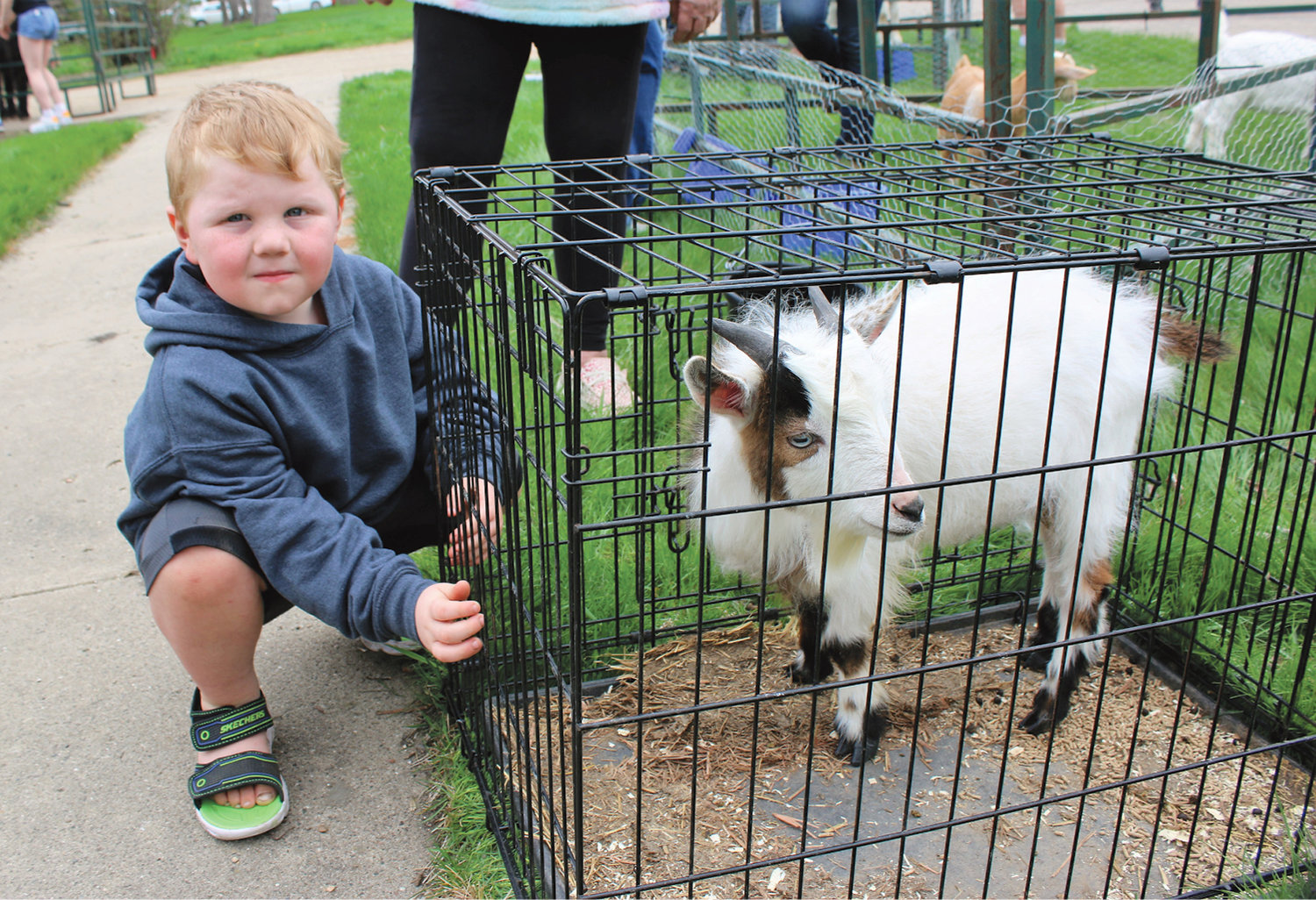 Lawrence Nelson hangs out with a baby goat.