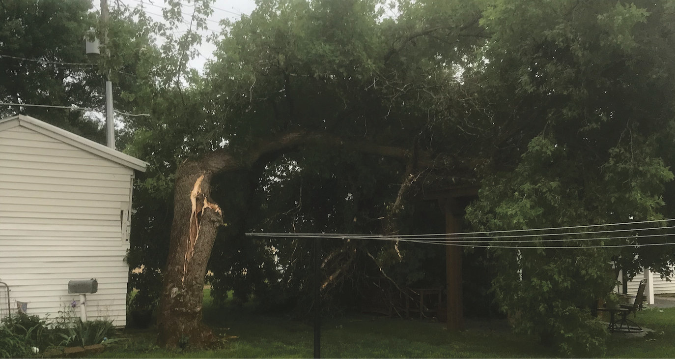 There were several trees down around Lake Preston after the storm on Monday night. This is a tree that was down at the Dar DeKnikker residence.