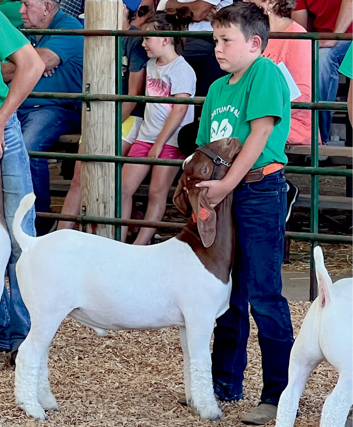 Ryker Eschenbaum showing his Kingsbury County Grand Champion Market Wether at the South Dakota State Fair.