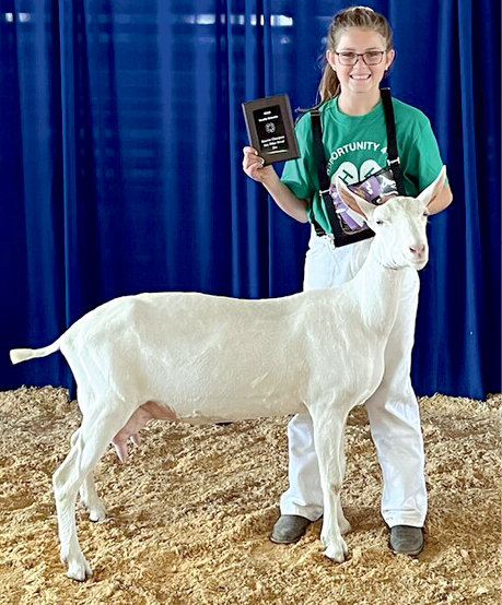 Mya McMcloud exhibited the Reserve Champion Any Other Breed Senior Dairy Goat.